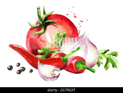 Rastériser la tomate avec de l'ail, des piments et des grains de poivre. Aquarelle illustration dessinée à la main isolée sur fond blanc Banque D'Images