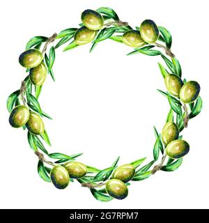 Couronne d'olive. Aquarelle Banque D'Images