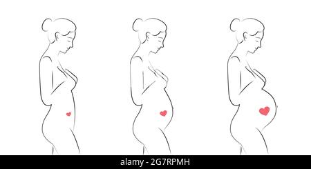 femme enceinte en attente de l'ensemble de trimestre de bébé Illustration de Vecteur