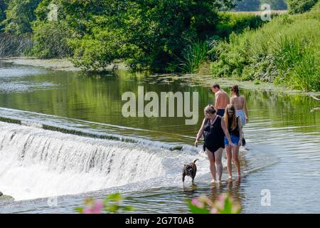 Warleigh Weir, Bath, Royaume-Uni. 16 juillet 2021. Par temps chaud et ciel dégagé, les gens se rafraîchit à Warleigh Weir. Les gens sont arrivés tôt pour prendre l'un des endroits limités dans ce lieu de baignade sauvage très populaire. Crédit : JMF News/Alay Live News Banque D'Images