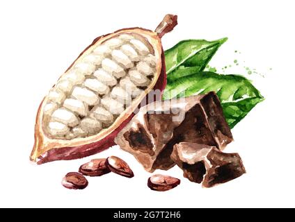 Morceaux de chocolat et fèves de cacao avec gousse et feuilles vertes. Super-alimentation. Illustration aquarelle dessinée à la main, isolée sur fond blanc Banque D'Images