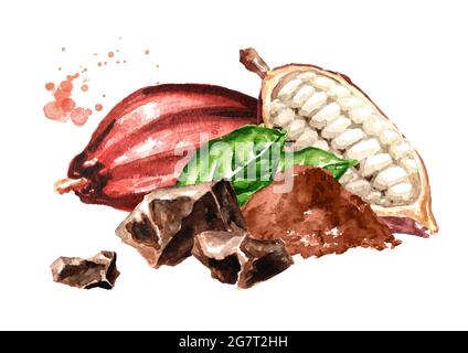 Morceaux de cokolate avec gousse de cacao et feuilles vertes. Super-alimentation. Illustration aquarelle dessinée à la main, isolée sur fond blanc Banque D'Images