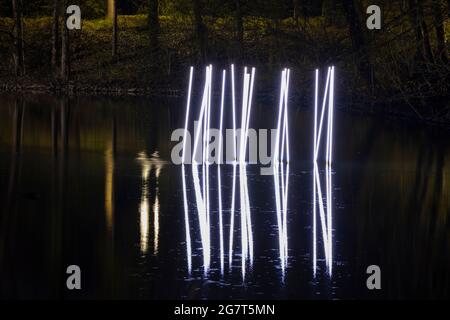 Light Art quot Schilfrohre quot de nuit, Lippstadt, Westphalie, Rhénanie-du-Nord-Westphalie, Allemagne, Europe Banque D'Images