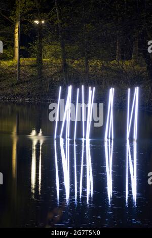 Light Art quot Schilfrohre quot de nuit, Lippstadt, Westphalie, Rhénanie-du-Nord-Westphalie, Allemagne, Europe Banque D'Images