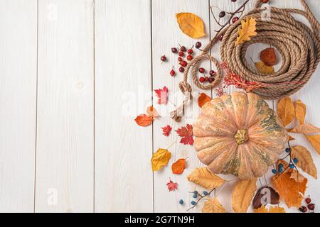 Citrouille, feuilles d'automne et baies sur fond de bois blanc. Fond de fête d'automne. Banque D'Images