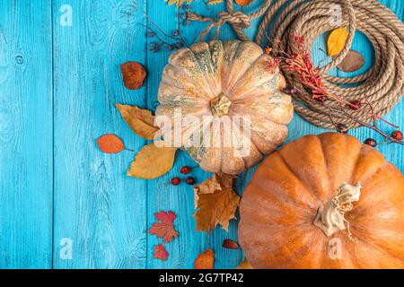 Fond d'automne lumineux et festif, le concept de Thanksgiving, Halloween. Citrouilles et feuilles d'automne sur fond bleu. Banque D'Images