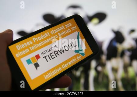 Viersen, Allemagne - 1er juillet. 2021: Gros plan de l'écran de téléphone avec logo lettrage de l'initiative tierwohl, brouillé vaches arrière-plan Banque D'Images