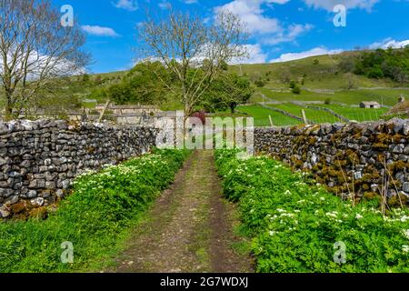 Piste du village de Starbotton menant à une passerelle au-dessus de la rivière Wharfe, Wharfedale, parc national de Yorkshire Dales, Yorkshire, Angleterre, Royaume-Uni Banque D'Images