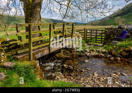 Passerelle au-dessus de Step Gill, sur le sentier Dales Way. Près de Buckden, Upper Wharfedale, parc national de Yorkshire Dales, Yorkshire, Angleterre, Royaume-Uni Banque D'Images