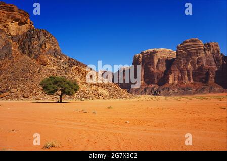 Wadi Rum - « la Vallée de la Lune », représentée comme Mars dans plusieurs longs métrages hollywoodiens Wadi Rum est un conte de fées arabe qui attend d'être découvert. Banque D'Images