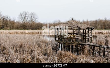 Un petit belvédère en bois sur le lac couvert de roseaux. Un lieu dans la forêt. Banque D'Images