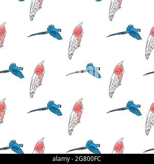 Vecteur blanc fond oiseaux tropicaux, perroquets, macaw, cacatoès exotiques. Arrière-plan sans couture Illustration de Vecteur
