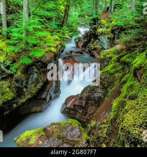 avalanche creek qui coule à travers une gorge dans le parc national du glacier, montana Banque D'Images