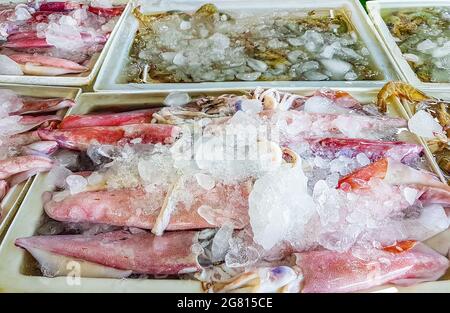 Pieuvres squides et autres fruits de mer dégoûtants cuisine thaïlandaise au marché de Bangrak sur Koh Samui en Thaïlande. Banque D'Images