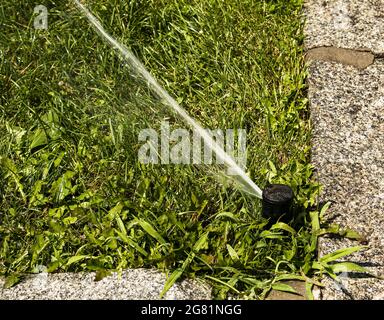 Un jet d'eau provenant du tuyau de l'arroseur automatique de pelouse arrossant l'herbe verte. Arroseur avec système automatique. Arrosage du système d'irrigation du jardin l Banque D'Images