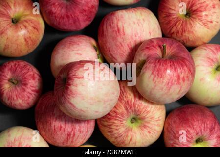 Pommes gros plan. Pommes à rayures rouges. Fruits biologiques. Vue de dessus. Récolte d'automne. Banque D'Images