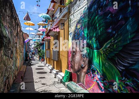 Rue étroite décorée de parasols colorés suspendus, Callejón Angosto, Barrio Getsemani, Cartagena de Indias, Colombie. Banque D'Images