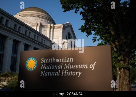 Washington, États-Unis. 16 juillet 2021. Un aperçu général du Smithsonian National Museum of Natural History à Washington, DC, le vendredi 16 juillet 2021, au milieu de la pandémie du coronavirus. Cette semaine, la Smithsonian institution a annoncé la fin de la pandémie de laissez-passer à entrée temporisée dans la plupart des musées alors que la National Gallery of Art a également récemment achevé sa réouverture. (Graeme Sloan/Sipa USA) Credit: SIPA USA/Alay Live News Banque D'Images