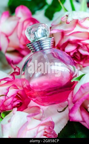 une bouteille de parfum parmi de belles fleurs Banque D'Images