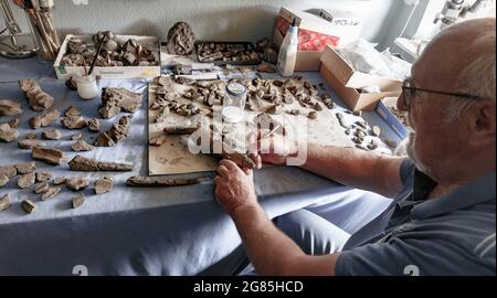 16 juillet 2021, Schleswig-Holstein, Groß Pampau : le chef des fouilles Gerhard Höpfner nettoie et prépare des fragments d'os d'une baleine préhistorique de 11 millions d'années de la fosse d'argile de Pampau. (À dpa-Korr 'ce qui reste de la baleine') photo: Markus Scholz/dpa Banque D'Images