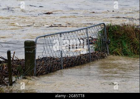 FERMES INONDÉES PENDANT LA PLUIE TORRENTIELLE. Motueka, Nouvelle-Zélande 17 juillet 2021. La rivière Motueka traverse une porte de ferme lors des inondations dans l'île du Sud de la Nouvelle-Zélande. © Anne Webber / Alamy Live News Banque D'Images