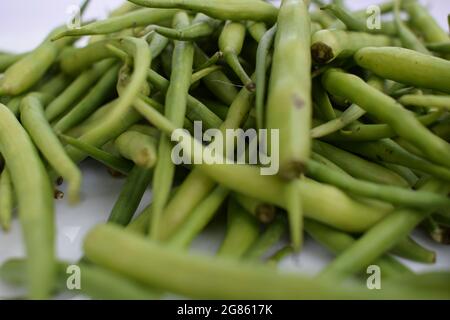 Tas de gousses de radis isolées sur fond blanc. Légumes frais biologiques indiens et pakistanais sélectif se concentre sur les légumes frais de saison vert piquet de Banque D'Images