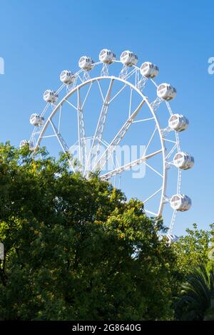 Une grande roue derrière les arbres au premier plan avec un ciel bleu. Concept de parc d'attractions Banque D'Images