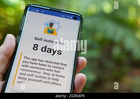 East Sussex, Royaume-Uni, 17 juillet 2021 : un téléphone portable présente une application NHS Covid pour s'isoler en raison d'une éventuelle exposition au coronavirus, faisant partie d'un « Pingdemic » affectant des centaines de milliers de personnes. Un ping signifie qu'il est demandé de s'auto-isoler après avoir été en contact avec une personne ayant subi un test de dépistage de covid ou après avoir été présente sur un site. Le monde des affaires et la société sont en train d'être décomposés en raison du fait qu'un grand nombre de personnes sont invitées à s'isoler, ce qui entraîne la fermeture temporaire d'une entreprise et la suppression de l'application par certaines personnes. Anna Watson/Alay Live News Banque D'Images