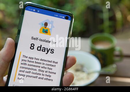 East Sussex, Royaume-Uni, 17 juillet 2021 : un téléphone portable présente une application NHS Covid pour s'isoler en raison d'une éventuelle exposition au coronavirus, faisant partie d'un « Pingdemic » affectant des centaines de milliers de personnes. Un ping signifie qu'il est demandé de s'auto-isoler après avoir été en contact avec une personne ayant subi un test de dépistage de covid ou après avoir été présente sur un site. Le monde des affaires et la société sont en train d'être décomposés en raison du fait qu'un grand nombre de personnes sont invitées à s'isoler, ce qui entraîne la fermeture temporaire d'une entreprise et la suppression de l'application par certaines personnes. Anna Watson/Alay Live News Banque D'Images