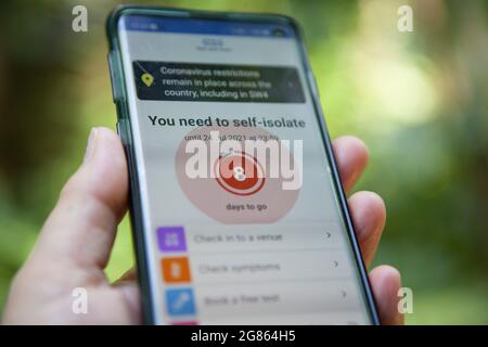 East Sussex, Royaume-Uni, 17 juillet 2021 : un téléphone portable présente une application NHS Covid pour s'isoler en raison d'une éventuelle exposition au coronavirus, faisant partie d'un « Pingdemic » affectant des centaines de milliers de personnes. Un ping signifie qu'il est demandé de s'auto-isoler après avoir été en contact avec une personne ayant subi un test de dépistage de covid ou après avoir été présente sur un site. Le monde des affaires et la société sont en train d'être décomposés en raison du fait qu'un grand nombre de personnes sont invitées à s'isoler, ce qui entraîne la fermeture temporaire d'une entreprise et la suppression de l'application par certaines personnes. Anna Watson/Alay Live News Banque D'Images