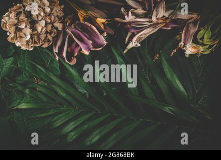 Fond floral foncé fait de différentes fleurs séchées et feuilles de palmier. Idée de diversité naturelle. Concept été et jungle minimal. Banque D'Images