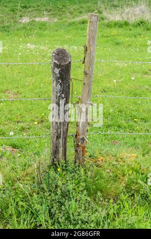 Clôture agricole en bois avec deux poteaux ou poteaux et barbelés dans un champ de pâturage dans la campagne rurale en Allemagne, en Europe Banque D'Images