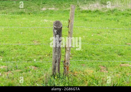 Clôture agricole en bois avec deux poteaux ou poteaux et barbelés dans un champ de pâturage dans la campagne rurale en Allemagne, en Europe Banque D'Images