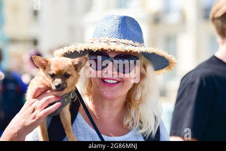 Brighton, Royaume-Uni. 17 juillet 2021 - ce hot dog aime être transporté le long du front de mer de Brighton tandis que des milliers de personnes affluent vers le bord de mer pour profiter du temps chaud et ensoleillé . Une vague de chaleur est prévue pour le week-end à travers la Grande-Bretagne avec des températures qui devraient atteindre plus de 30 degrés centigrade dans certaines régions : crédit Simon Dack / Alamy Live News Banque D'Images