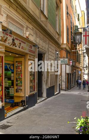 Aperçu de via Lucoli, une ruelle étroite dans la vieille ville, avec un chien reposant à l'entrée d'une animalerie en été, Gênes, Ligurie, Italie Banque D'Images