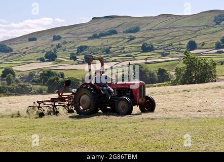 Un haymaking de tracteur d'époque, Hawes, Yorkshire Dales National Park, Royaume-Uni. L'outil du tracteur fait tourner l'herbe tondu. Banque D'Images