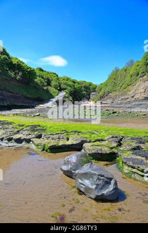 Boggle Hole sur Cleveland Way près de Robin Hoods Bay, North Yworks National Park, North Yorkshire, Angleterre, Royaume-Uni. Banque D'Images