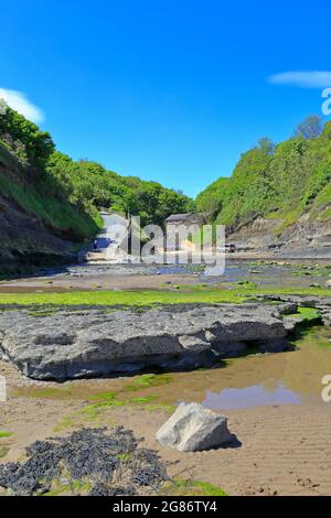 Boggle Hole sur Cleveland Way près de Robin Hoods Bay, North Yworks National Park, North Yorkshire, Angleterre, Royaume-Uni. Banque D'Images