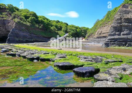 Boggle Hole sur Cleveland Way près de Robin Hoods Bay, North Yworks National Park, North Yorkshire, Angleterre, Royaume-Uni. Banque D'Images