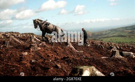 Doug Joiner avec son cheval Ella travaillant sur une colline aux Stiperstones dans le Shropshire. 26/03/1999. ferme agricole fermier colline collines chevaux de travail animal Banque D'Images