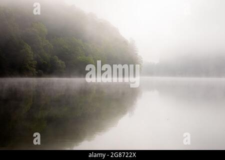 Le brouillard matinal survole l'eau d'un lac. Banque D'Images