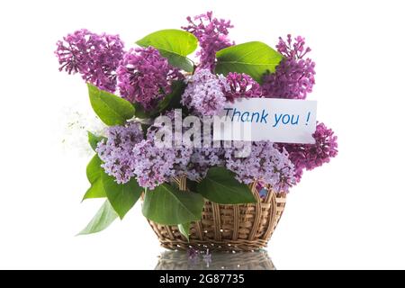 bouquet de lilas de printemps en fleurs dans un panier sur blanc arrière-plan Banque D'Images