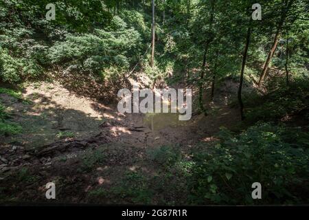 Vue depuis Cedar Sink Trail, parc national de Mammoth Cave, Kentucky Banque D'Images