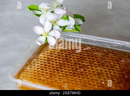 Miel naturel aux roses et aux agrumes Banque D'Images