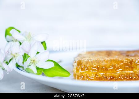 Miel naturel aux roses et aux agrumes Banque D'Images