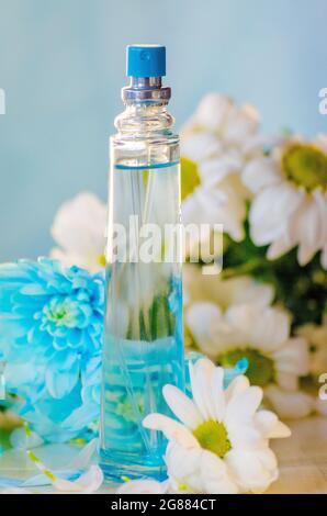 bouteille de parfum floral sur fond de fleurs de camomille et de chrysanthème dans des tons bleus Banque D'Images