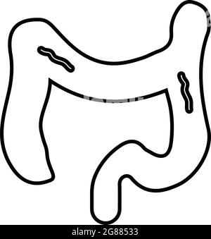 L'icône intestin, côlon, proctologie est isolée sur fond blanc. Utilisation à des fins graphiques et de conception de sites Web ou à des fins commerciales. Fichier EPS vectoriel. Illustration de Vecteur