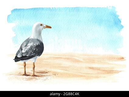 Mouette ou mouette de mer debout sur le sable sur le fond de la mer avec l'espace de copie. Illustration aquarelle dessinée à la main isolée sur fond blanc Banque D'Images