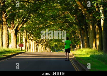 Un homme a vu courir à Temple Newsam à Leeds, West Yorkshire, Royaume-Uni Banque D'Images