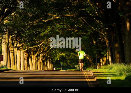 Un homme a vu courir à Temple Newsam à Leeds, West Yorkshire, Royaume-Uni Banque D'Images